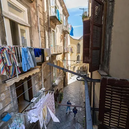 אכסניה Pizza נאפולי